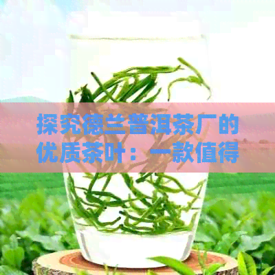 探究德兰普洱茶厂的优质茶叶：一款值得品鉴的茶叶体验