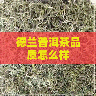 德兰普洱茶品质怎么样