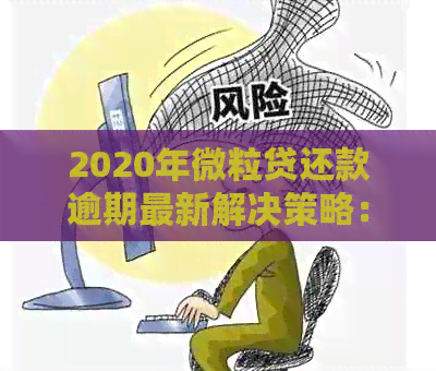 2020年微粒贷还款逾期最新解决策略：详尽解析与处理方案