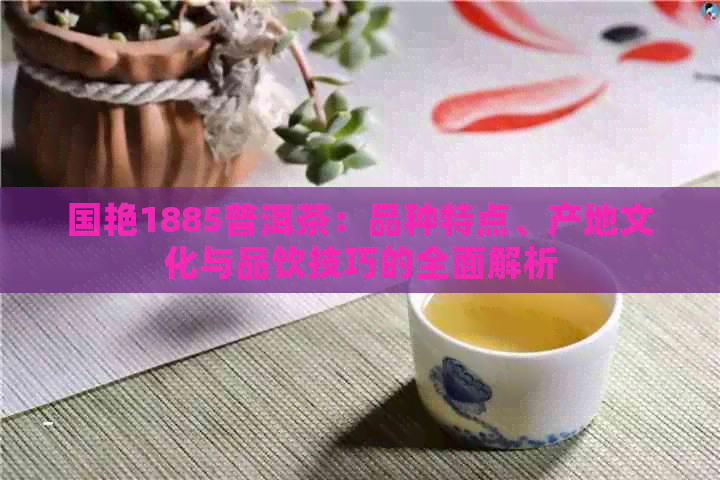 国艳1885普洱茶：品种特点、产地文化与品饮技巧的全面解析