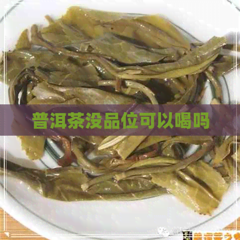 普洱茶没品位可以喝吗