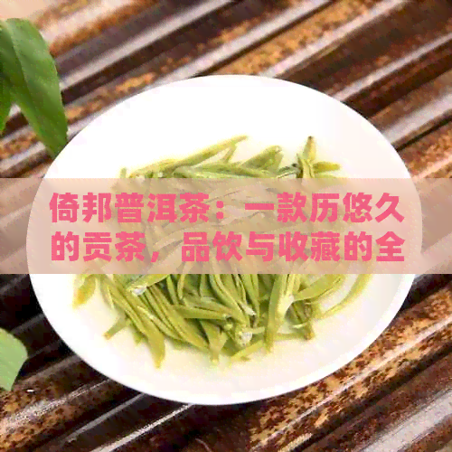 倚邦普洱茶：一款历悠久的贡茶，品饮与收藏的全面指南