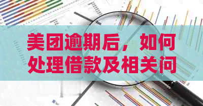 美团逾期后，如何处理借款及相关问题？全面解析