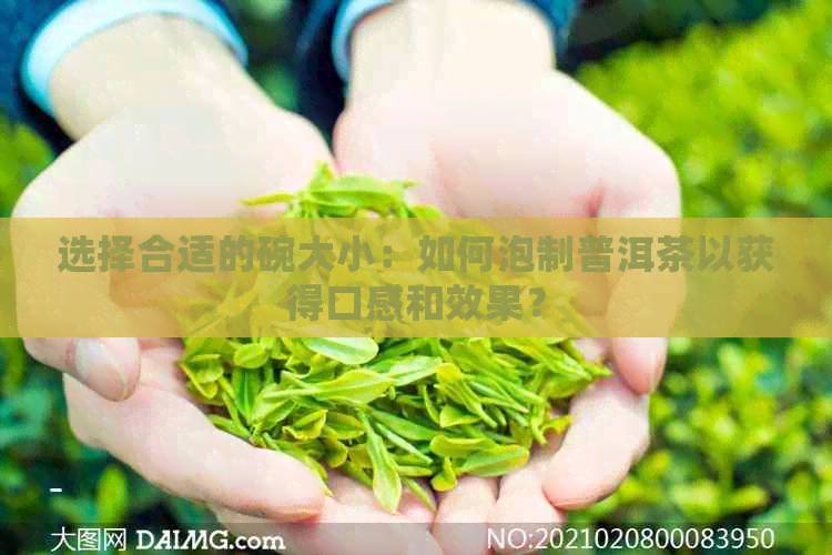 选择合适的碗大小：如何泡制普洱茶以获得口感和效果？