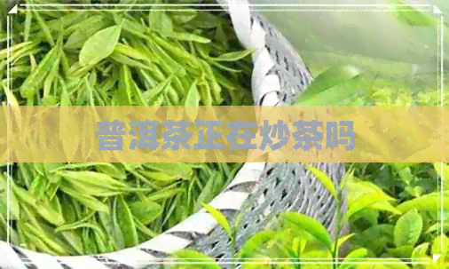 普洱茶正在炒茶吗