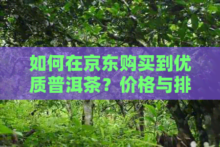 如何在京东购买到优质普洱茶？价格与排名解析