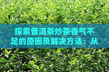 探索普洱茶炒茶香气不足的原因及解决方法：从选料、炒制到保存全方位解析