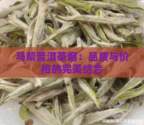 马帮普洱茶烟：品质与价格的完美结合