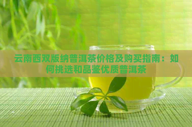 云南西双版纳普洱茶价格及购买指南：如何挑选和品鉴优质普洱茶