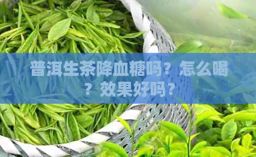 普洱生茶降血糖吗？怎么喝？效果好吗？