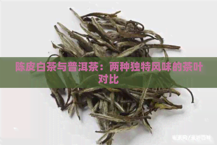 陈皮白茶与普洱茶：两种独特风味的茶叶对比