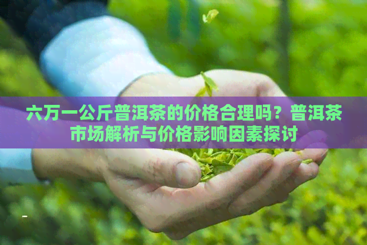 六万一公斤普洱茶的价格合理吗？普洱茶市场解析与价格影响因素探讨