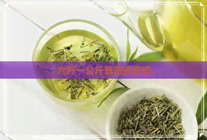 六万一公斤普洱茶贵吗