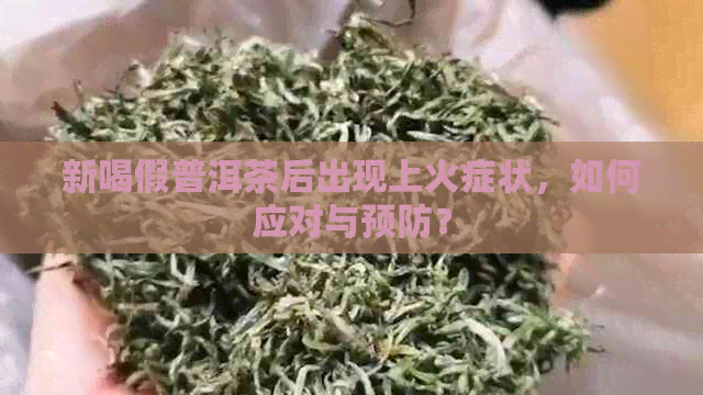 新喝假普洱茶后出现上火症状，如何应对与预防？