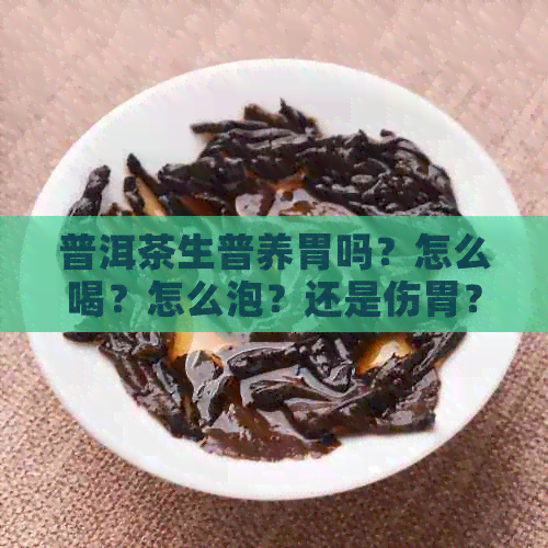 普洱茶生普养胃吗？怎么喝？怎么泡？还是伤胃？