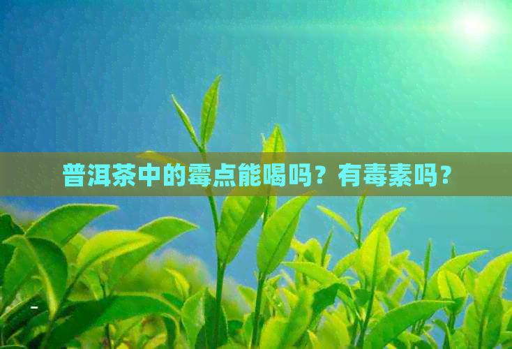 普洱茶中的霉点能喝吗？有素吗？