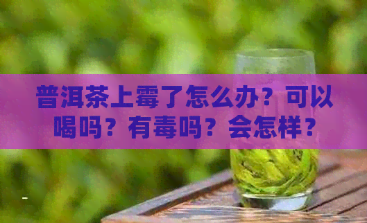 普洱茶上霉了怎么办？可以喝吗？有吗？会怎样？