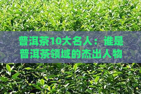 普洱茶10大名人：谁是普洱茶领域的杰出人物？