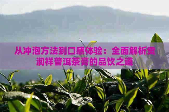 从冲泡方法到口感体验：全面解析贡润祥普洱茶膏的品饮之道