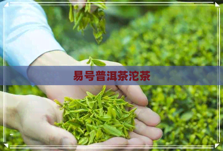 易号普洱茶沱茶