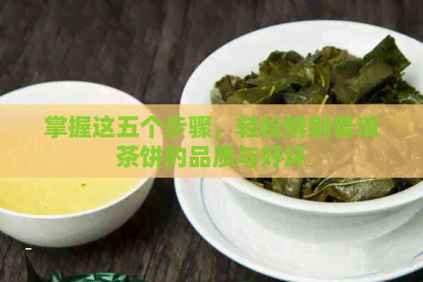 掌握这五个步骤，轻松辨别普洱茶饼的品质与好坏