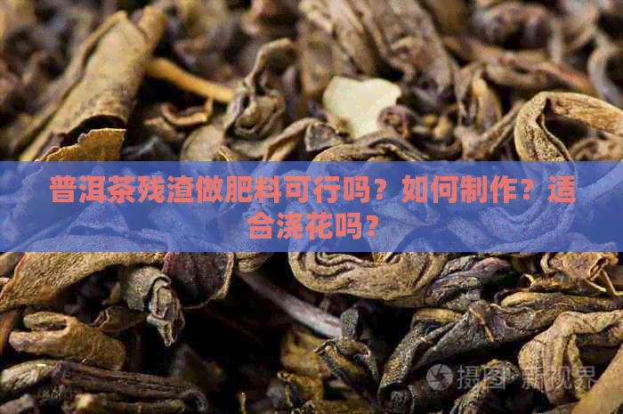 普洱茶残渣做肥料可行吗？如何制作？适合浇花吗？