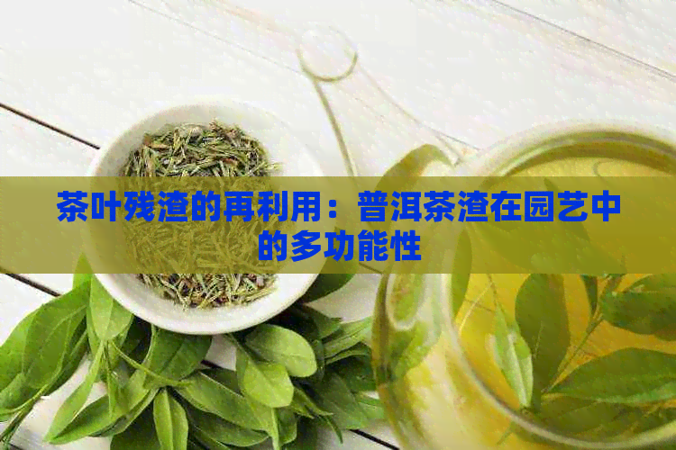 茶叶残渣的再利用：普洱茶渣在园艺中的多功能性