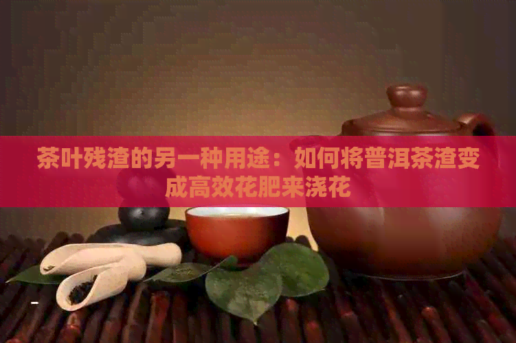 茶叶残渣的另一种用途：如何将普洱茶渣变成高效花肥来浇花