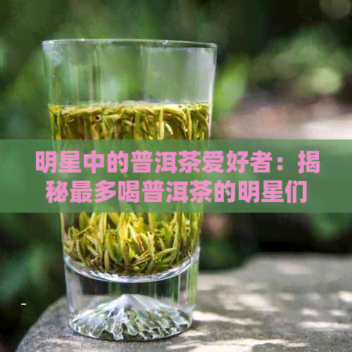 明星中的普洱茶爱好者：揭秘最多喝普洱茶的明星们