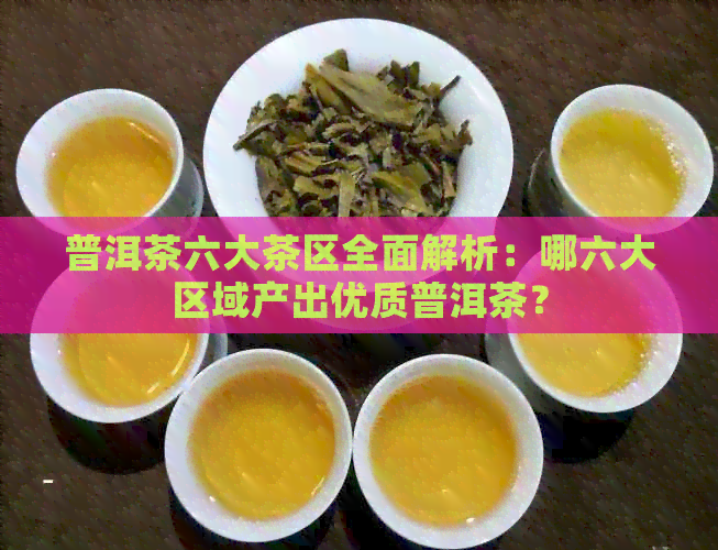 普洱茶六大茶区全面解析：哪六大区域产出优质普洱茶？