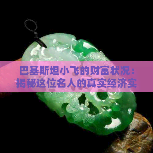 巴基斯坦小飞的财富状况：揭秘这位名人的真实经济实力和生活方式