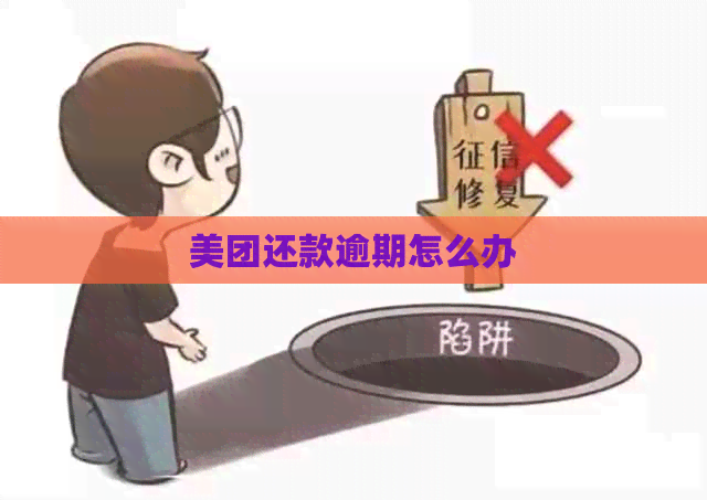 美团还款逾期怎么办