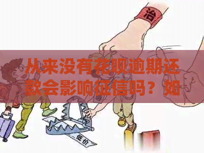 从来没有花呗逾期还款会影响吗？如何处理从未逾期的花呗还款问题？