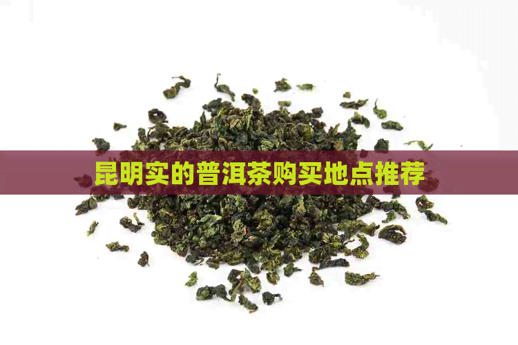 昆明实的普洱茶购买地点推荐