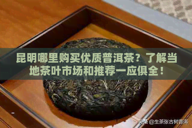 昆明哪里购买优质普洱茶？了解当地茶叶市场和推荐一应俱全！