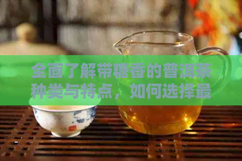 全面了解带糖香的普洱茶种类与特点，如何选择最适合你的普洱茶？