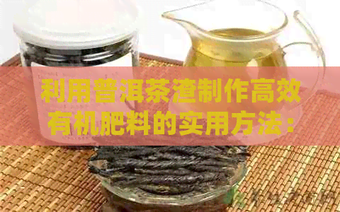 利用普洱茶渣制作高效有机肥料的实用方法：美味与环保并存