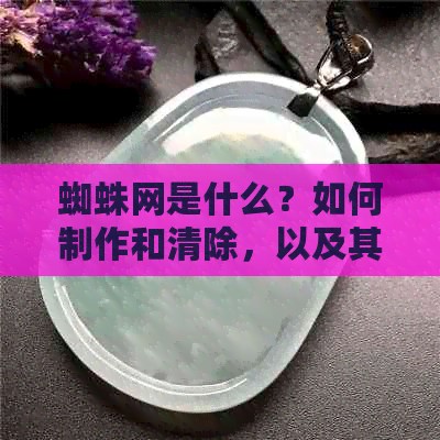 蜘蛛网是什么？如何制作和清除，以及其在生活和科学上的应用