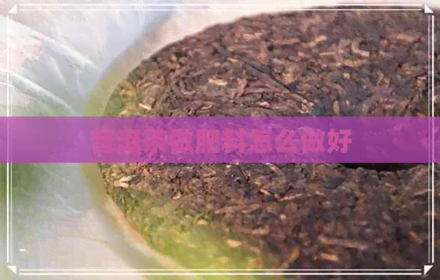 普洱茶做肥料怎么做好