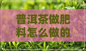 普洱茶做肥料怎么做的