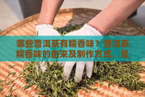 哪些普洱茶有糯香味？普洱茶糯香味的由来及制作方式，是否含有香料？