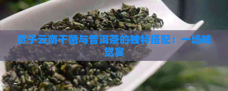 燕子云南干菌与普洱茶的独特搭配：一场味觉宴