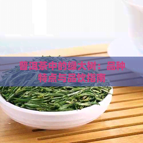 普洱茶中的绿大树：品种特点与品饮指南