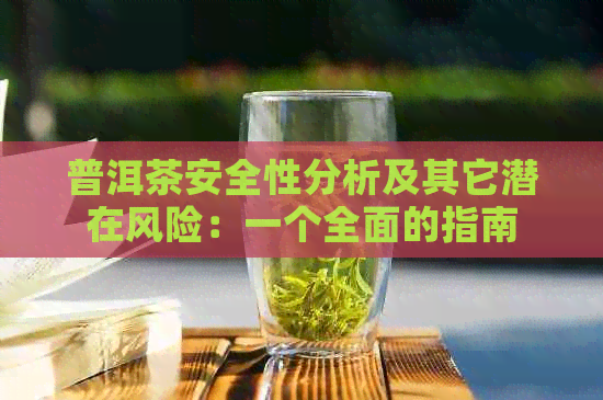 普洱茶安全性分析及其它潜在风险：一个全面的指南