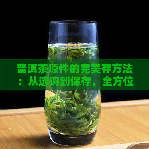 普洱茶原件的完美存方法：从选购到保存，全方位解决您的疑问