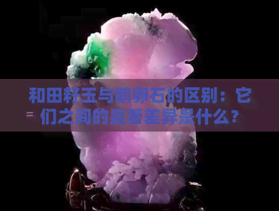 和田籽玉与鹅卵石的区别：它们之间的显著差异是什么？