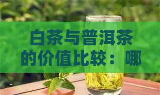 白茶与普洱茶的价值比较：哪个更实？