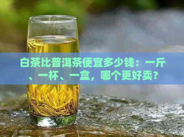 白茶比普洱茶便宜多少钱：一斤、一杯、一盒，哪个更好卖？