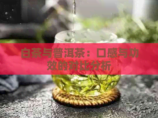 白茶与普洱茶：口感与功效的对比分析