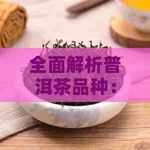 全面解析普洱茶品种：从经典到新兴，一次了解所有你想知道的普洱茶种类